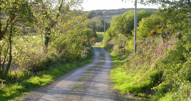 Apartament Ravens Oak, West Cork Bantry Zewnętrze zdjęcie
